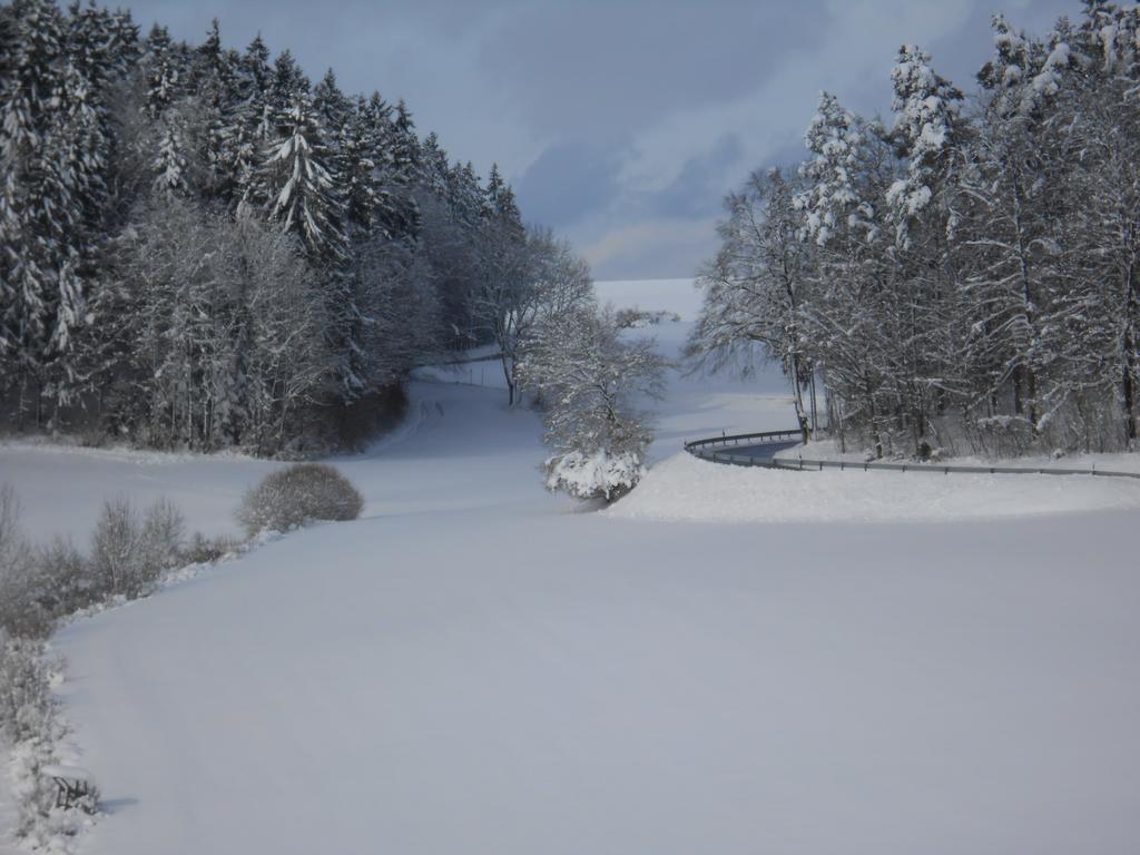 Готель Landgasthof Schutzen Tengen Екстер'єр фото